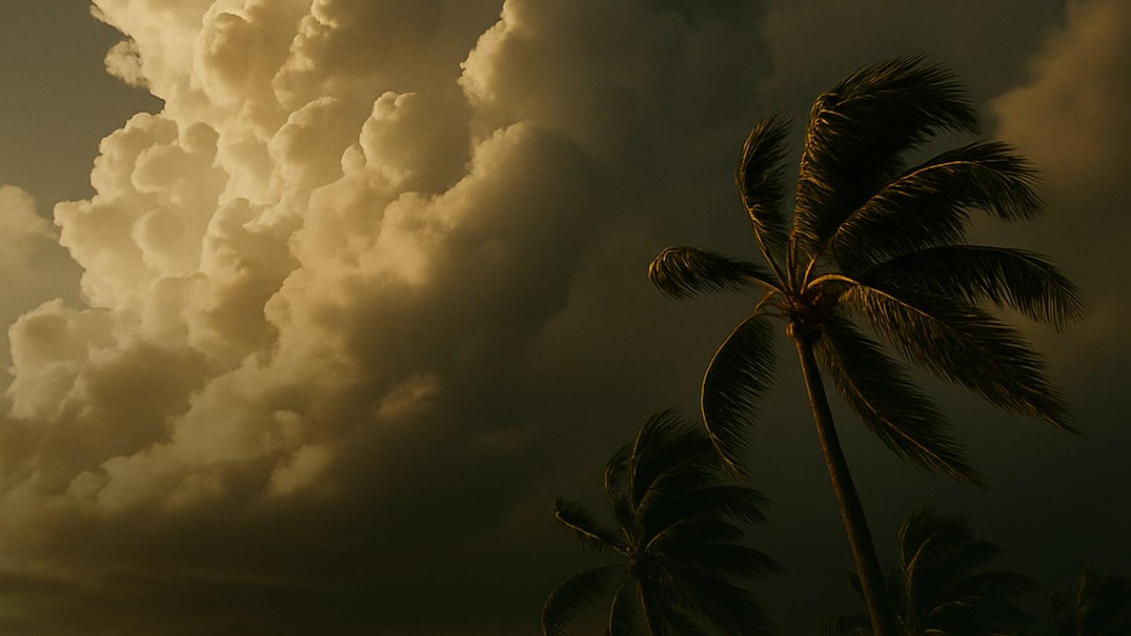 Dramatic golden light over the Miami Beach shoreline and sea