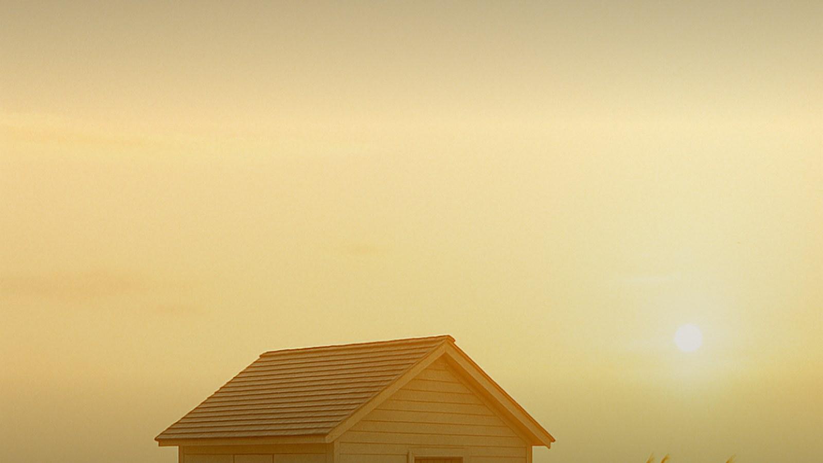 Warm golden light over an empty stretch of Miami Beach sand and sea grape